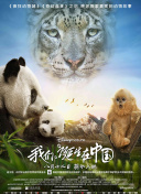 在剑指九州中，你不可错过的游戏技巧与策略